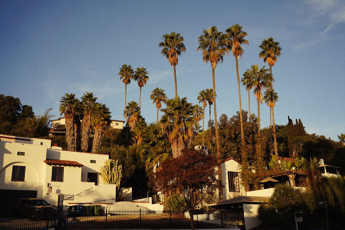 Southern California homes with palm trees in Orange County residential neighborhood